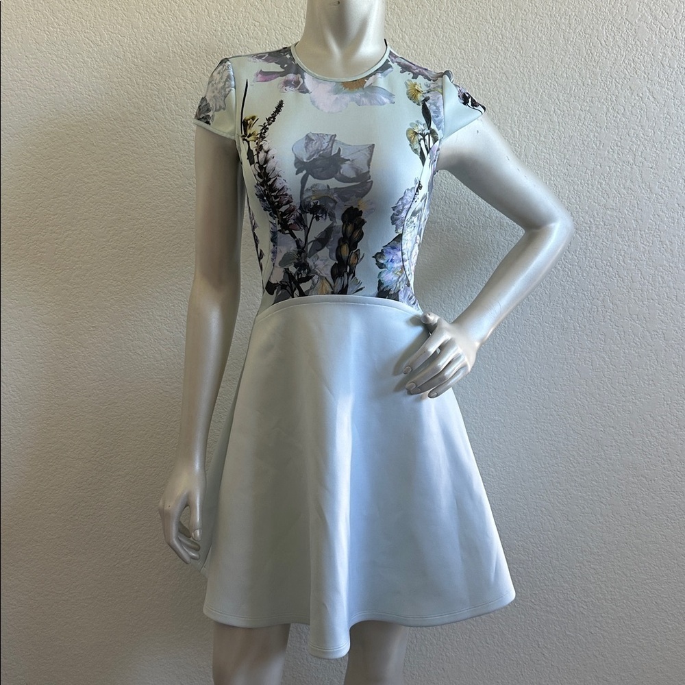 Ted Baker Faythe Blue Torchlit Floral Print Skater Dress View 3